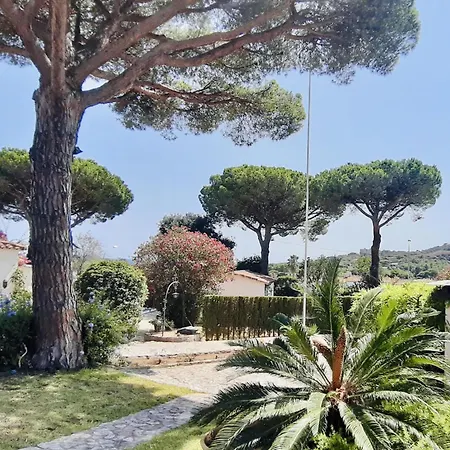 Ensueno Costabravasi
